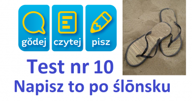 Napisz to po ślōnsku nr 10 – podsumowani Napisz to po ślōnsku nr 10 – podsumowani