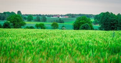 Obrazy Górnego Śląska (#1): Zacharzowice Obrazy Górnego Śląska (#1): Zacharzowice