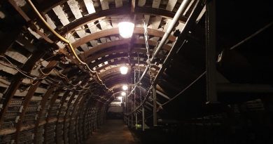 Perła w Koronie czy Korona Wirusa? wachtyrz artykuł