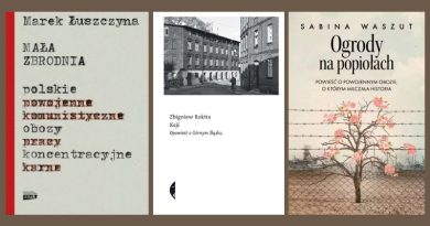 Gōrnoślōnsko Tragedyjo w zdrzadle polskij a ślōnskij literatury