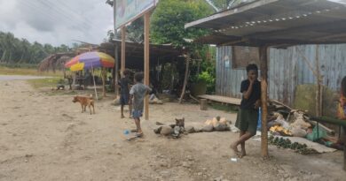 Papuasy a Fojerman (2 – Trasa WZ, abo WSW)