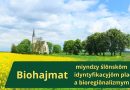 Biohajmat – między śląską tożsamością miejsca a bioregionalizmem
