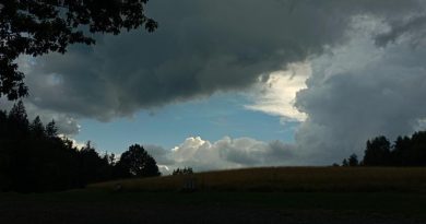 Gabriela Szewiola: Jeruzalem, malarz talerzy