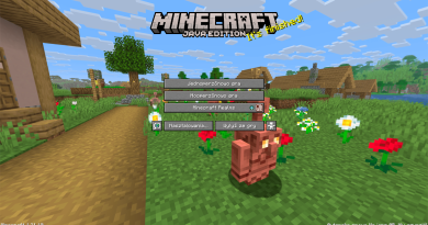 Język śląski trafia do Minecrafta  — pełna korekta oraz wsparcie dla śląskiego alfabetu