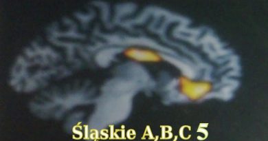 Projekt Śląskie ABC – globalne rozumienie tekstu czytanego