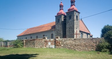 Biskup Henryk z Wierzbna i jego ród